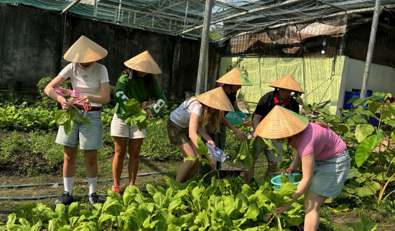 Hành Trình Làm Nông & Nấu Bữa Cơm Nhà (2)